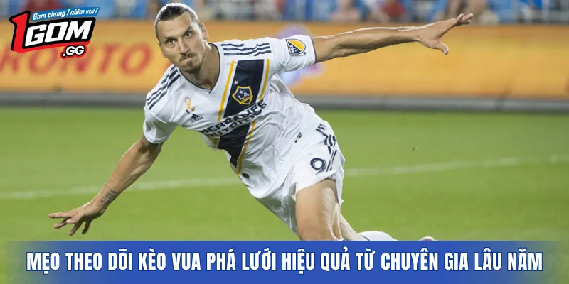 Mẹo theo dõi kèo vua phá lưới hiệu quả từ chuyên gia lâu năm