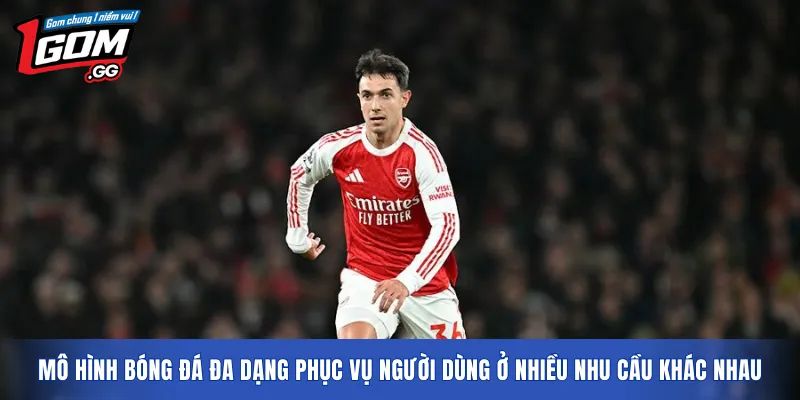 Mô hình bóng đá đa dạng phục vụ người dùng ở nhiều nhu cầu khác nhau