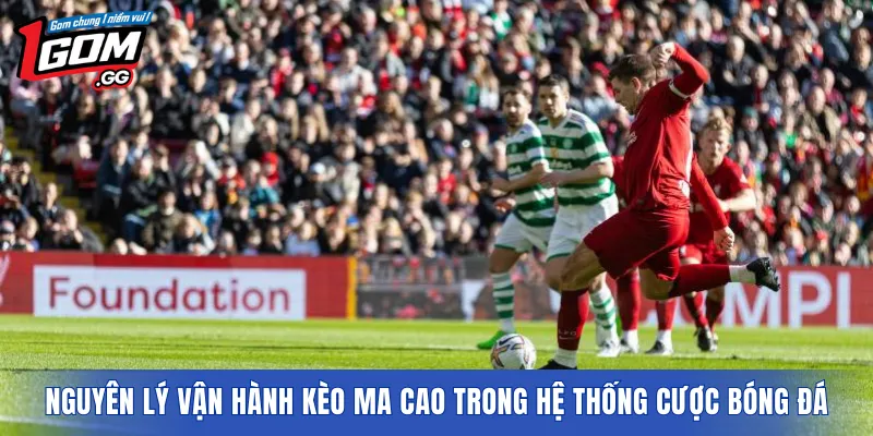 Nguyên lý vận hành kèo Ma Cao trong hệ thống cược bóng đá