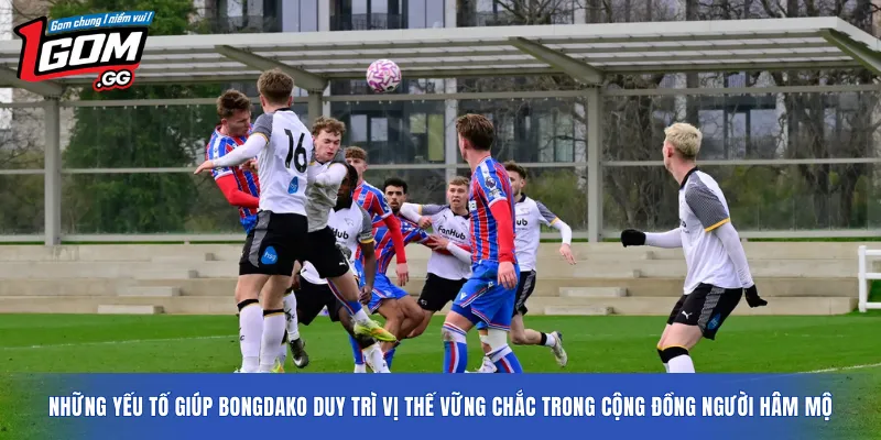 Những yếu tố giúp Bongdako duy trì vị thế vững chắc trong cộng đồng người hâm mộ
