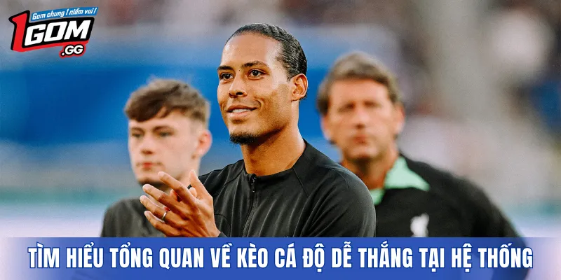 Tìm hiểu tổng quan về kèo cá độ dễ thắng tại hệ thống