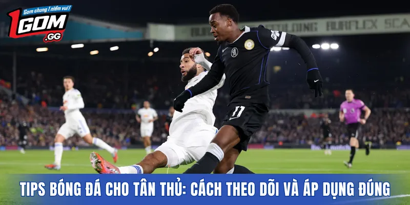 Tips bóng đá cho tân thủ: Cách theo dõi và áp dụng đúng